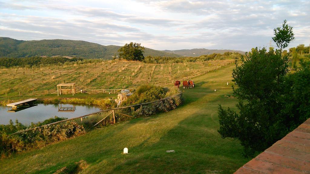 Fattoria San Paolo Agriturismo Montecastelli Pisano 外观 照片