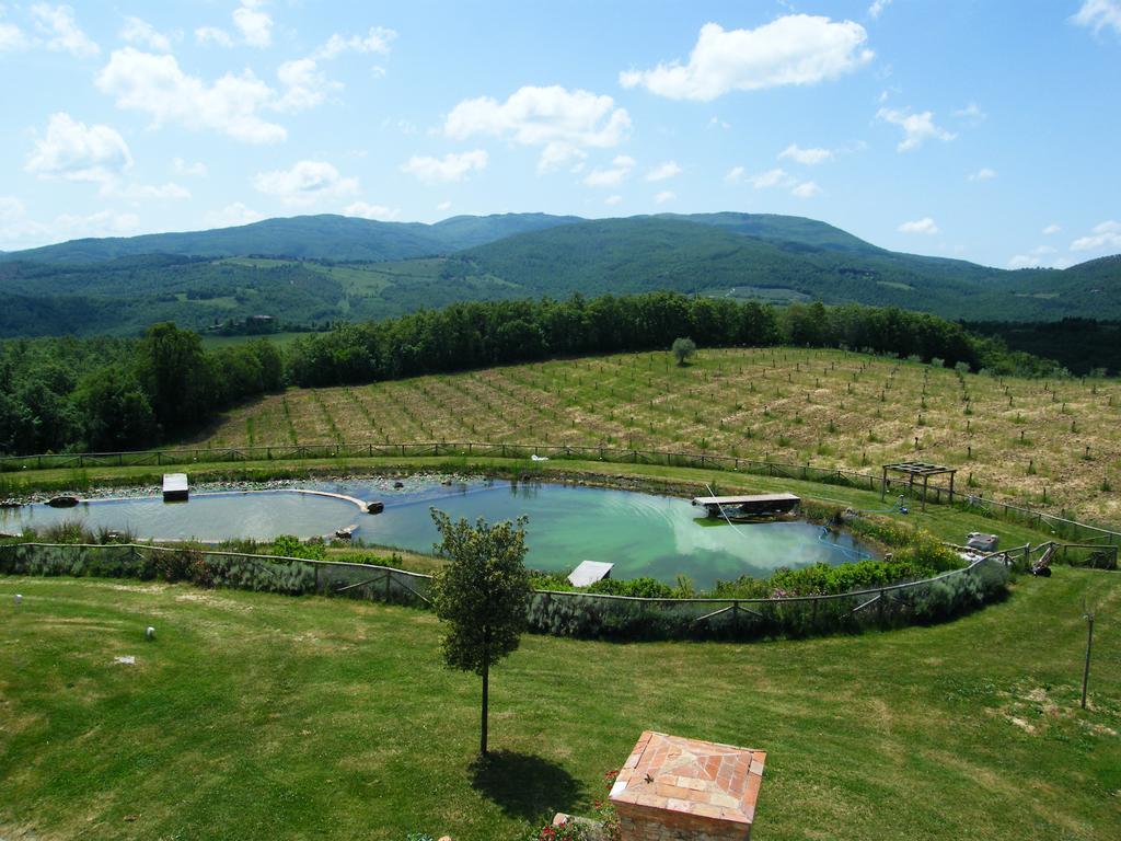 Fattoria San Paolo Agriturismo Montecastelli Pisano 外观 照片